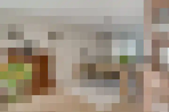 Ticheloven 56 Giesbeek thumbnail 16
