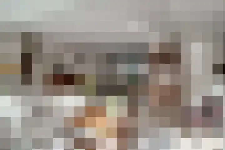 Ticheloven 56 Giesbeek thumbnail 17