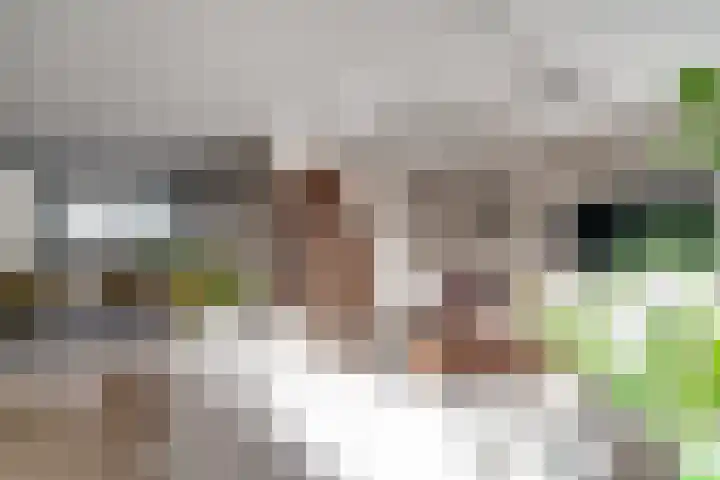 Ticheloven 56 Giesbeek thumbnail 18