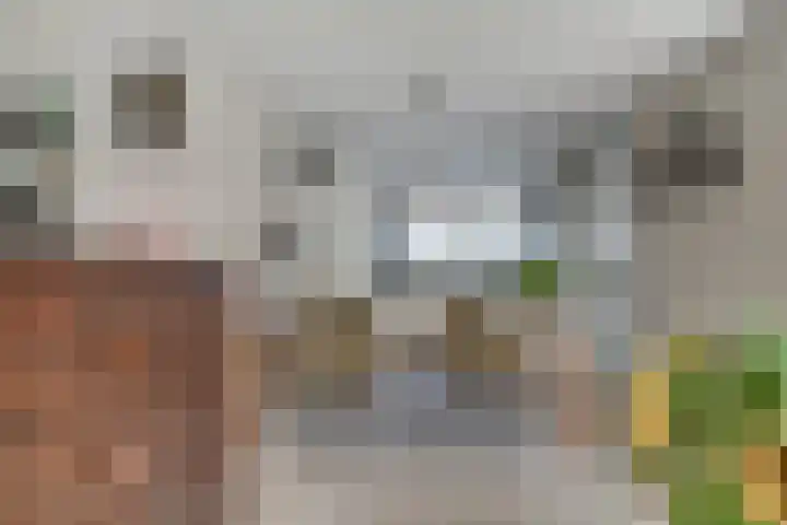 Ticheloven 56 Giesbeek thumbnail 19