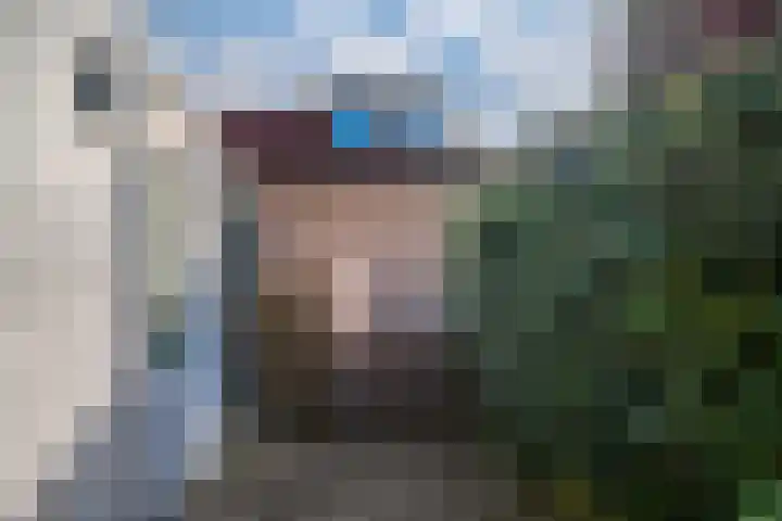 Ticheloven 56 Giesbeek thumbnail 21