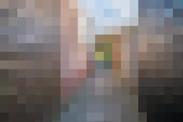Ticheloven 56 Giesbeek thumbnail 22