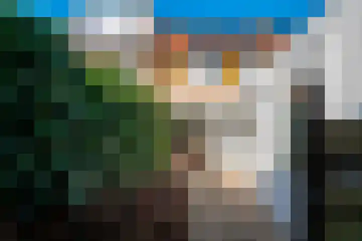 Ticheloven 56 Giesbeek thumbnail 23
