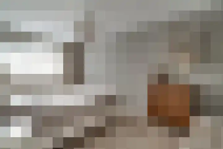 Ticheloven 56 Giesbeek thumbnail 24