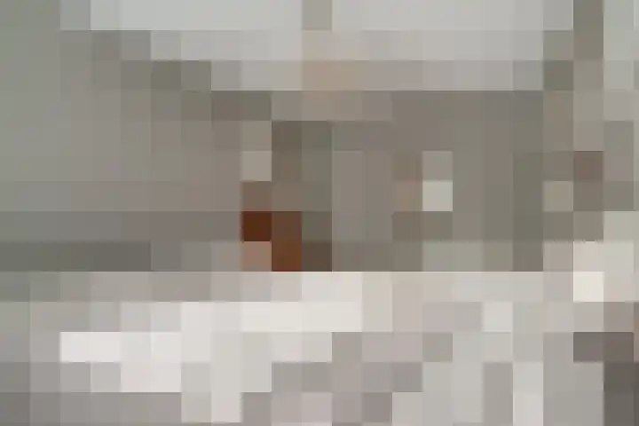 Ticheloven 56 Giesbeek thumbnail 25