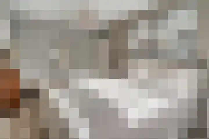 Ticheloven 56 Giesbeek thumbnail 26