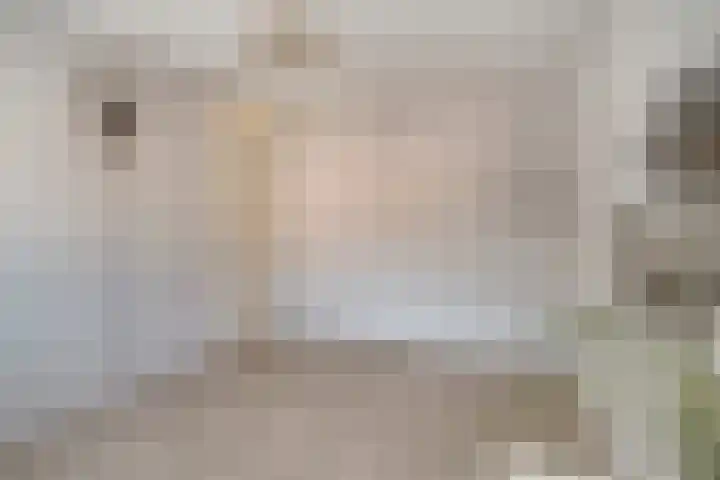 Ticheloven 56 Giesbeek thumbnail 29