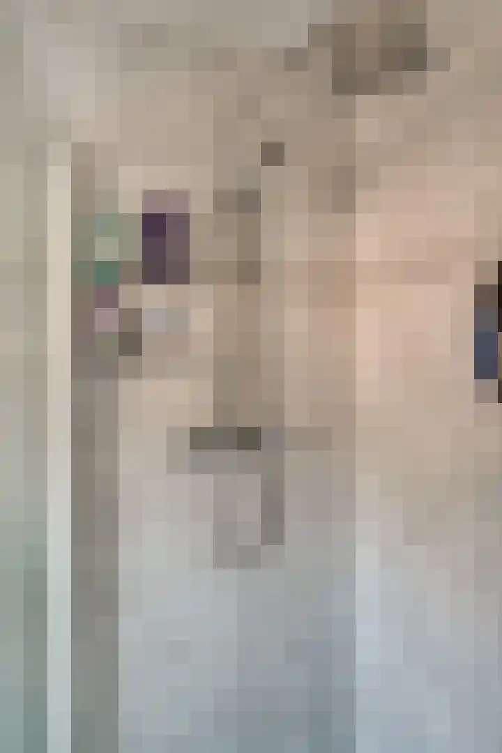 Ticheloven 56 Giesbeek thumbnail 31