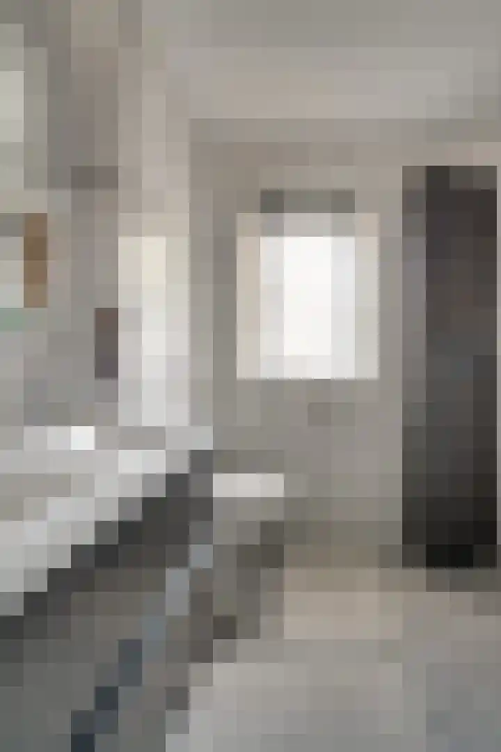 Ticheloven 56 Giesbeek thumbnail 32