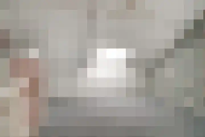 Ticheloven 56 Giesbeek thumbnail 36