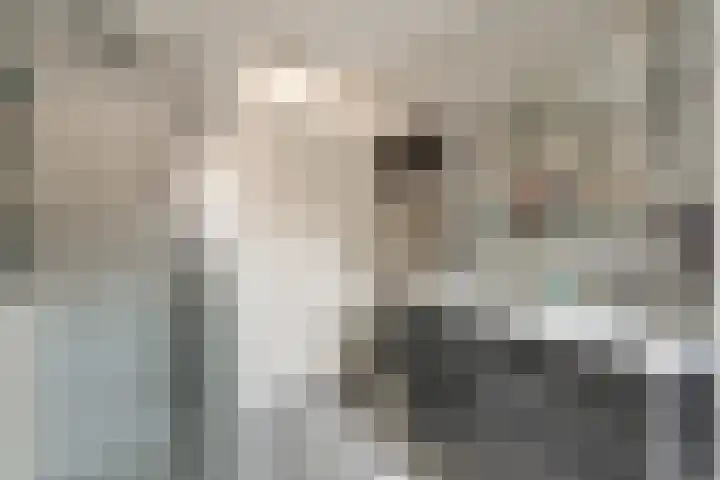 Ticheloven 56 Giesbeek thumbnail 4