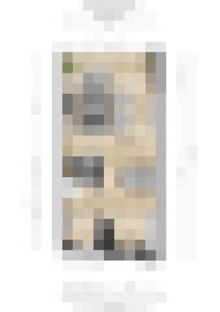 Ticheloven 56 Giesbeek thumbnail 42