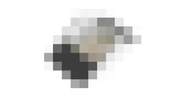 Ticheloven 56 Giesbeek thumbnail 47