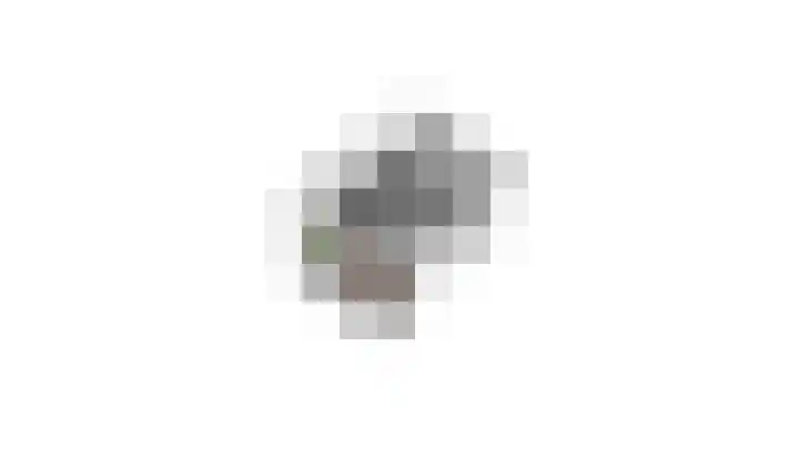 Ticheloven 56 Giesbeek thumbnail 49