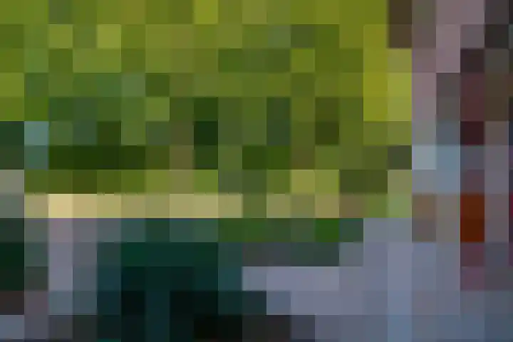 Ticheloven 56 Giesbeek thumbnail 7