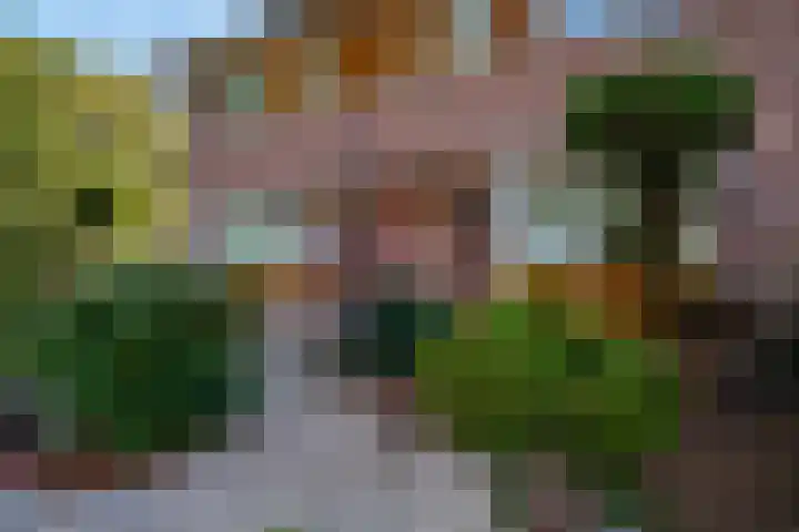 Ticheloven 56 Giesbeek thumbnail 8