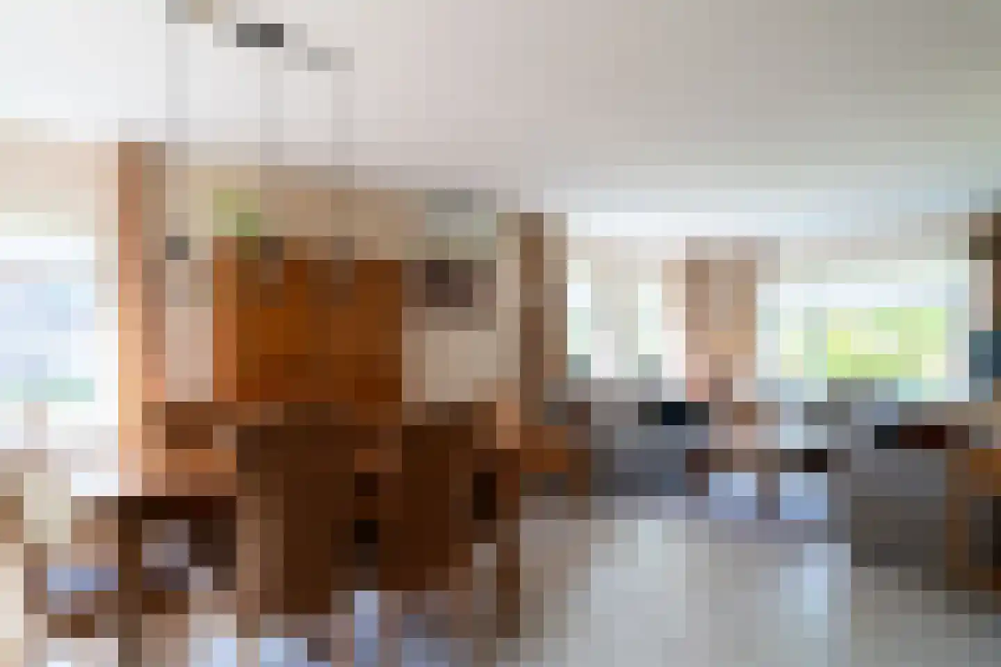 Ticheloven 88 Giesbeek thumbnail 17
