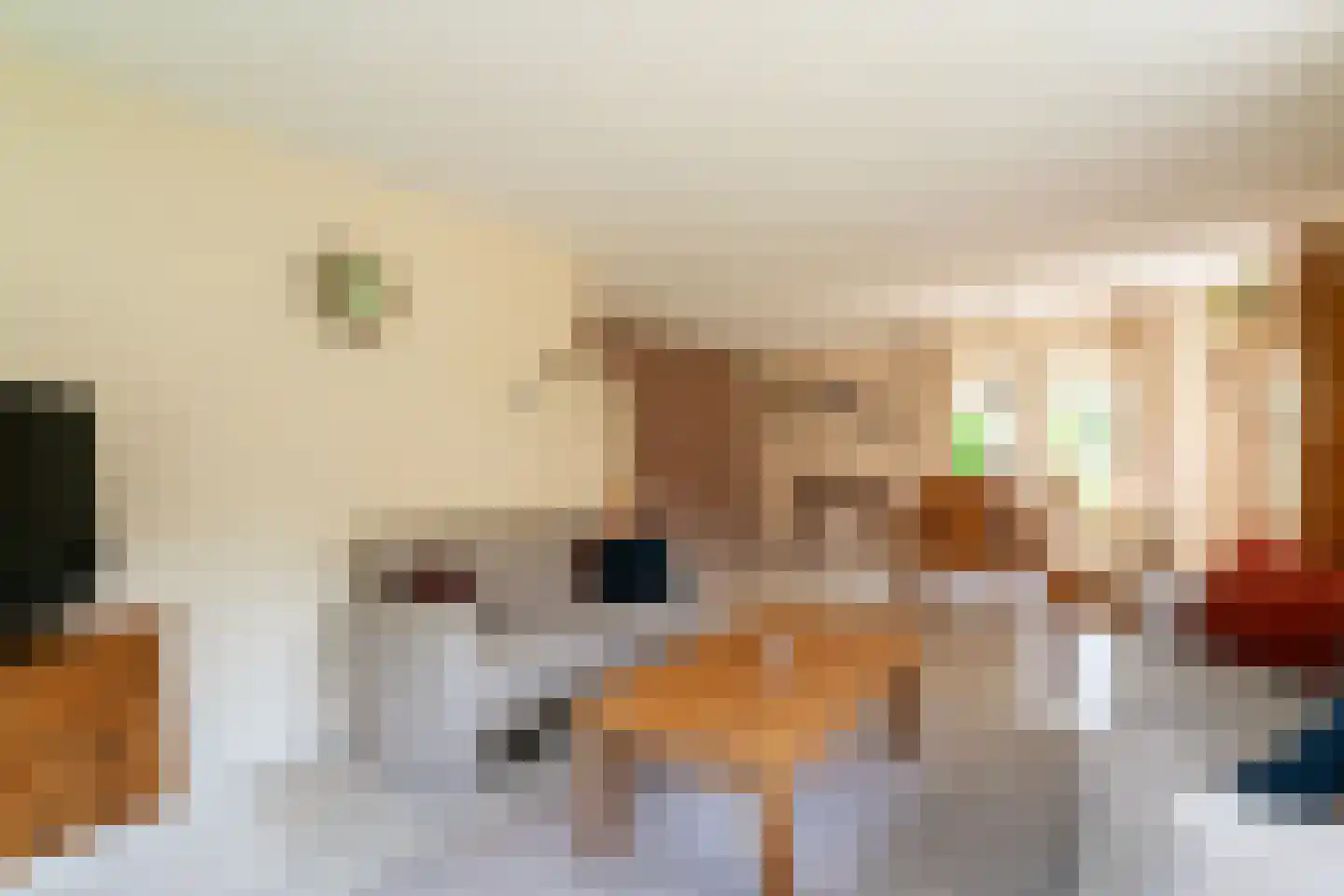 Ticheloven 88 Giesbeek thumbnail 18