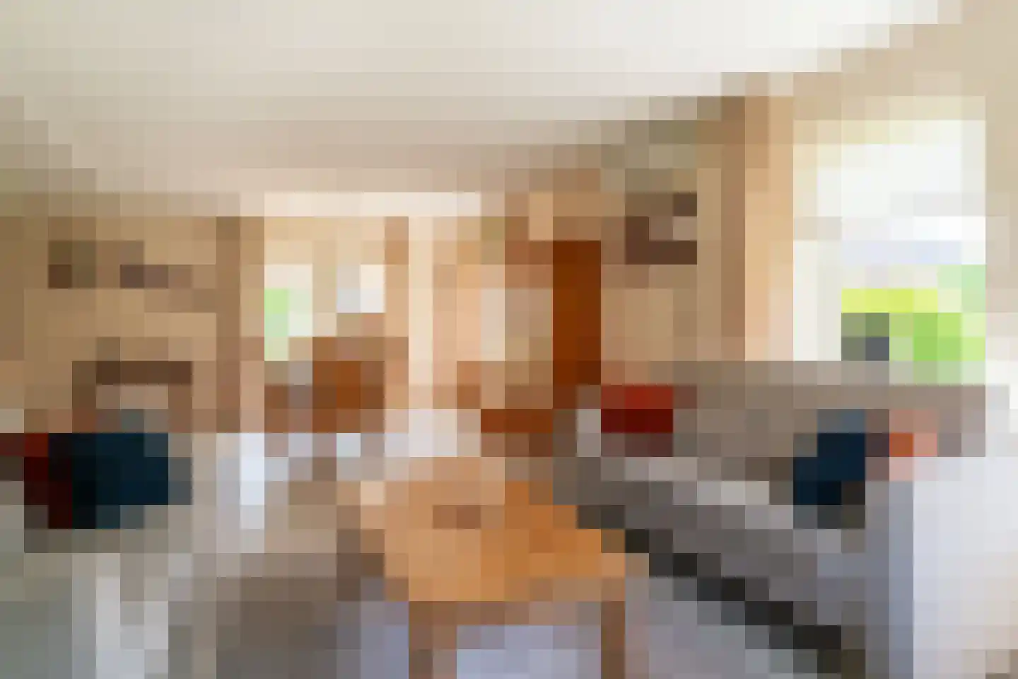 Ticheloven 88 Giesbeek thumbnail 19