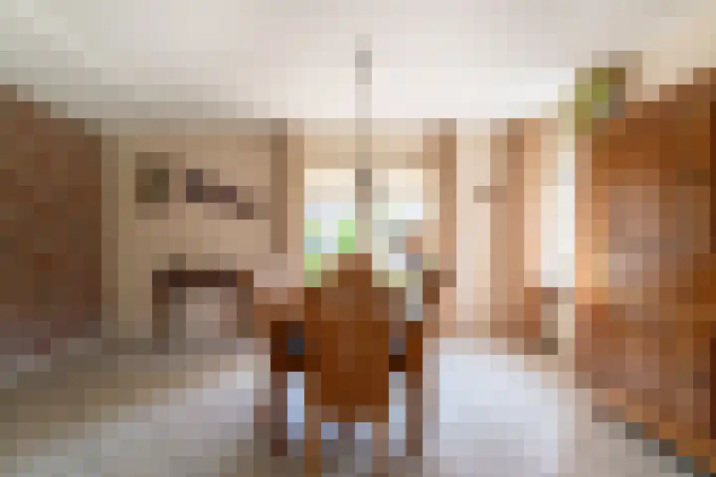 Ticheloven 88 Giesbeek thumbnail 21