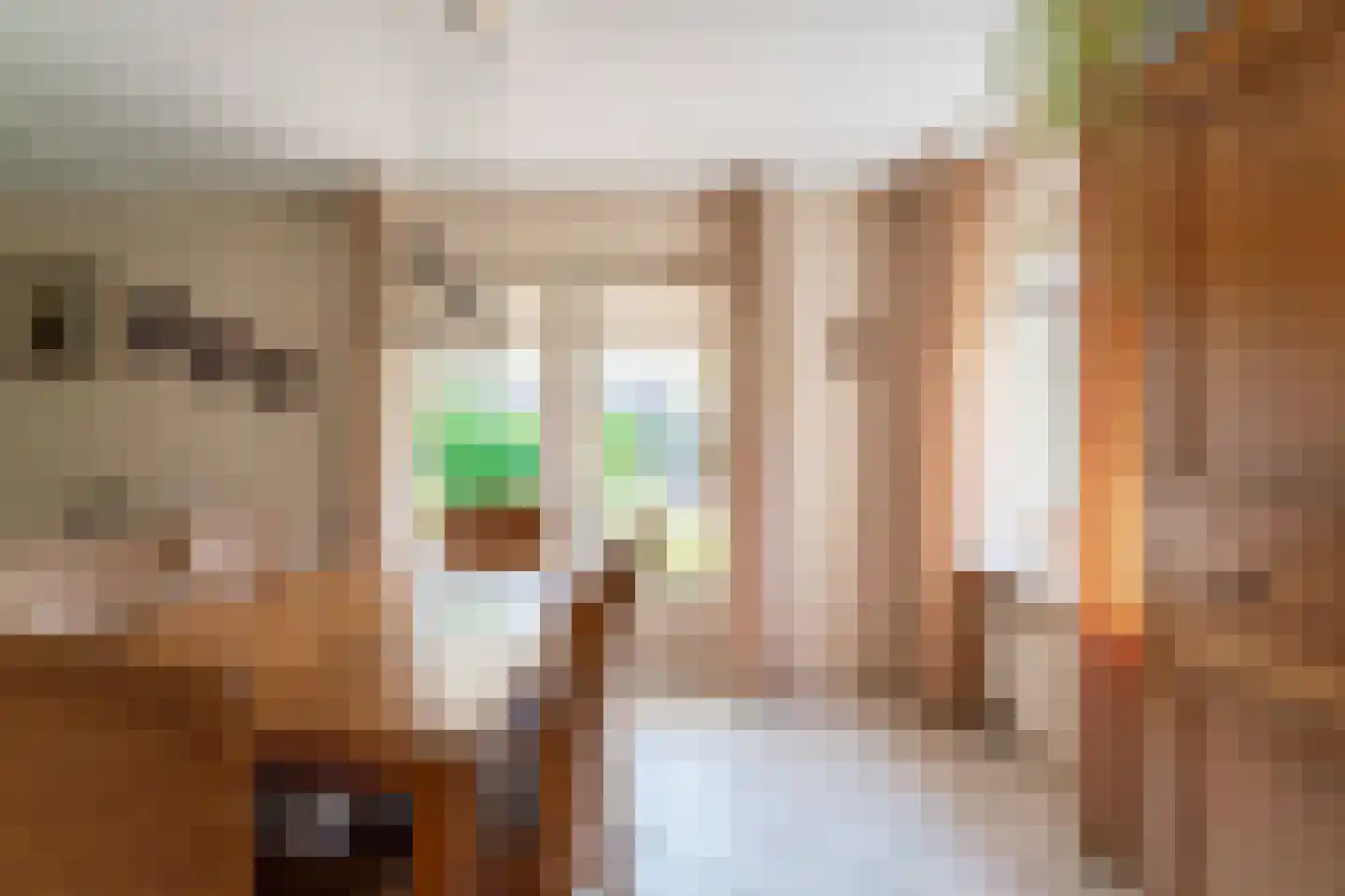 Ticheloven 88 Giesbeek thumbnail 22