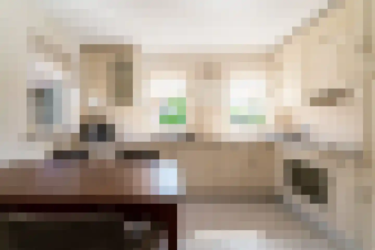 Ticheloven 88 Giesbeek thumbnail 23