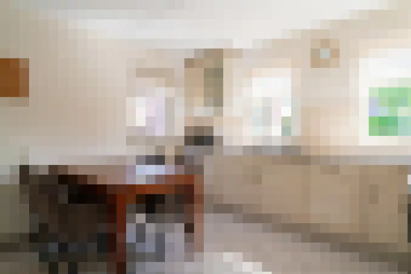 Ticheloven 88 Giesbeek thumbnail 25