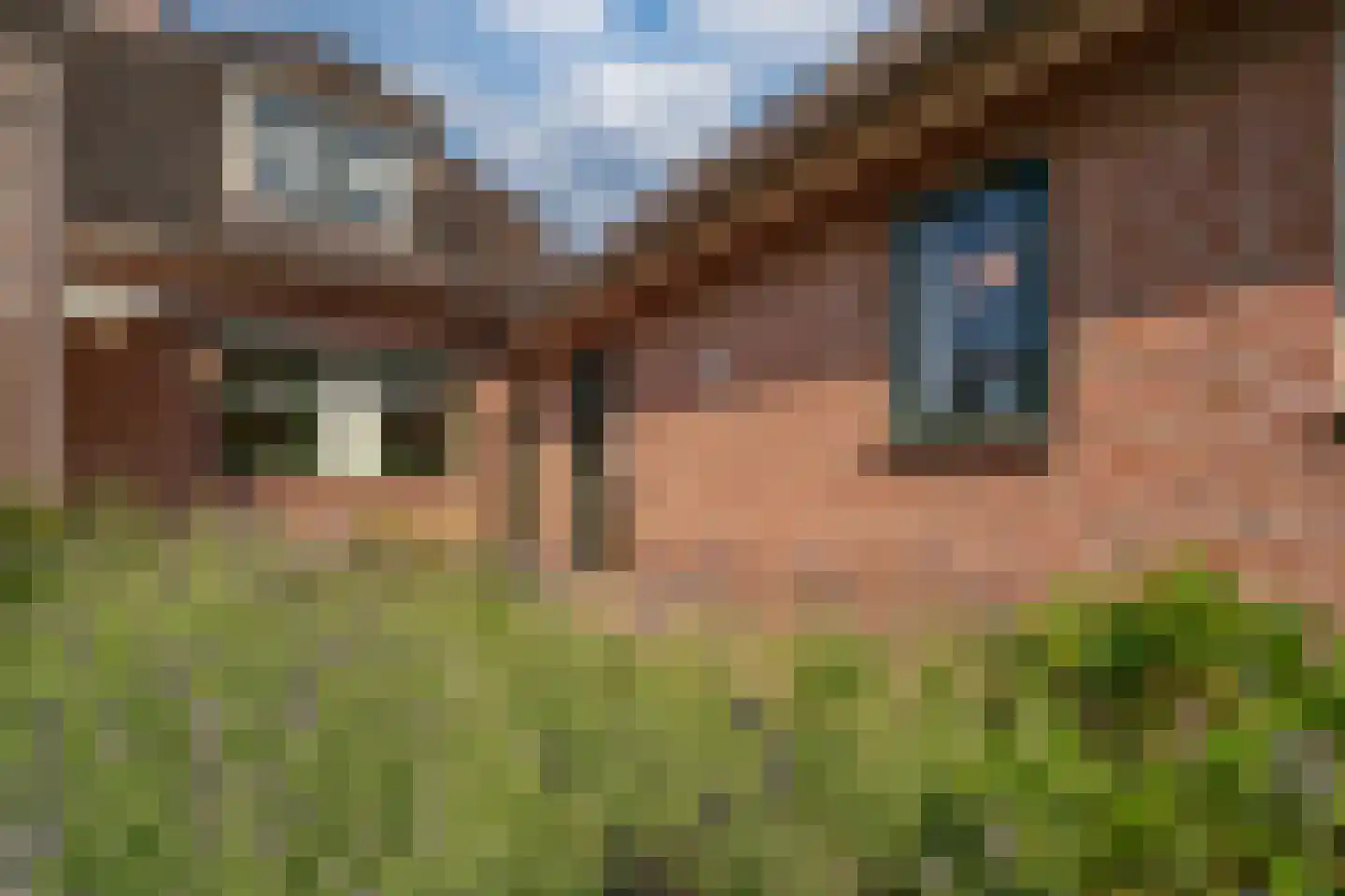 Ticheloven 88 Giesbeek thumbnail 28