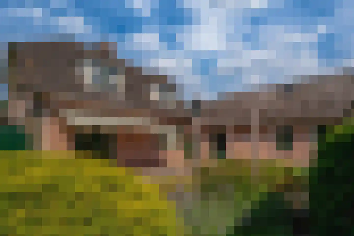 Ticheloven 88 Giesbeek thumbnail 30