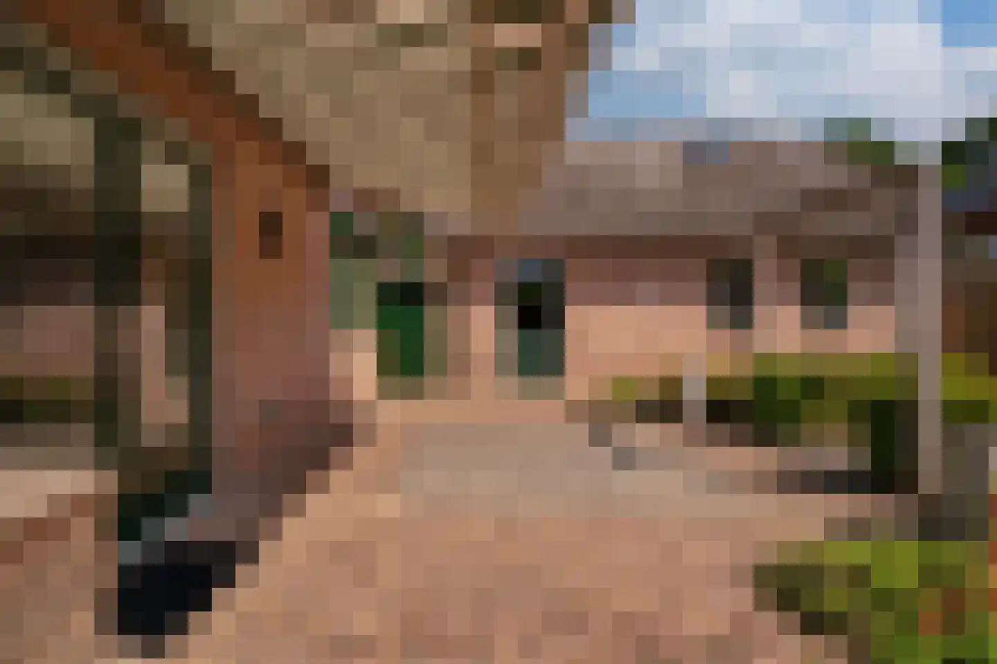 Ticheloven 88 Giesbeek thumbnail 31