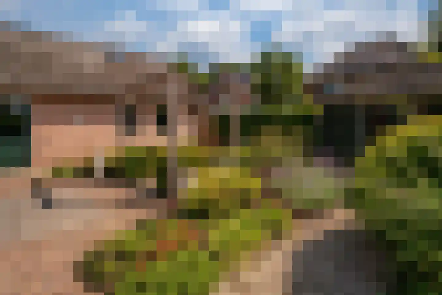 Ticheloven 88 Giesbeek thumbnail 32
