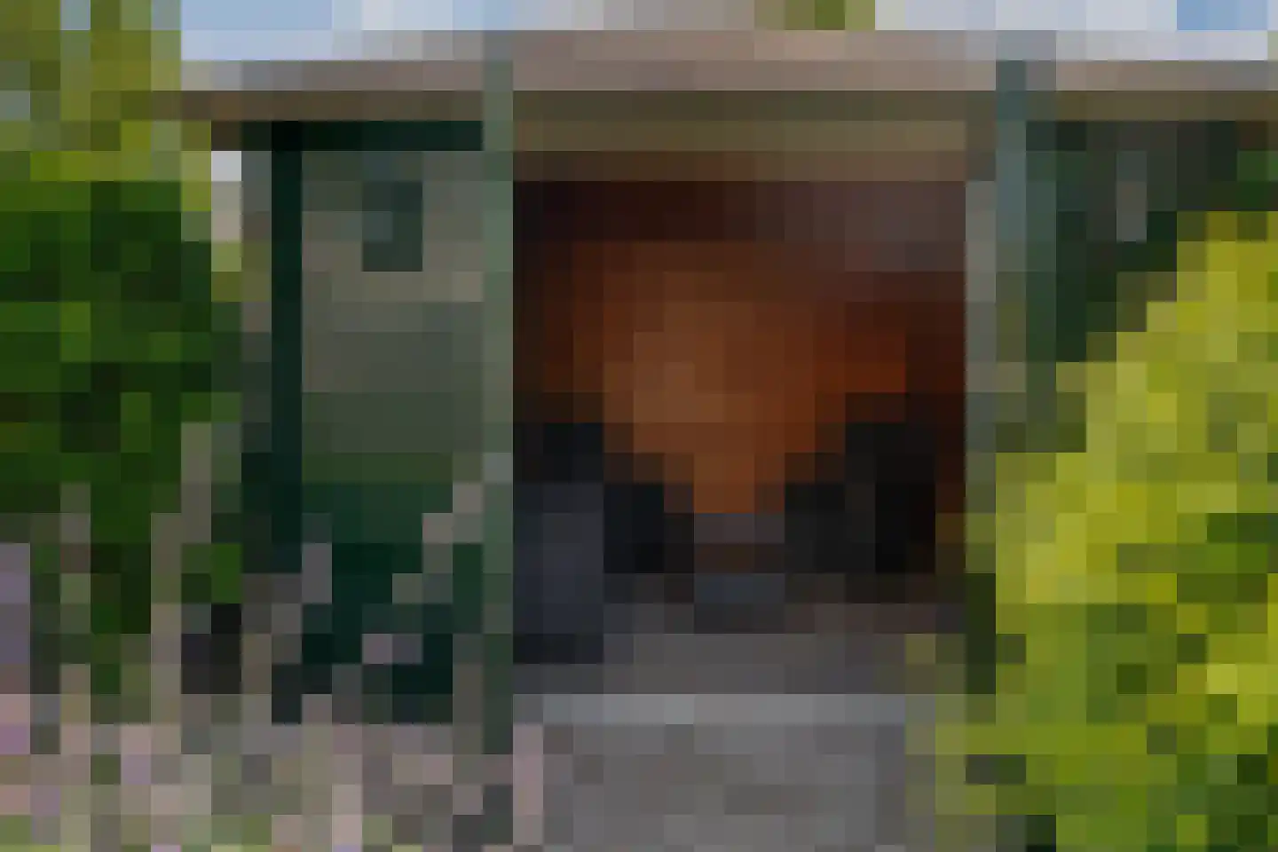 Ticheloven 88 Giesbeek thumbnail 35