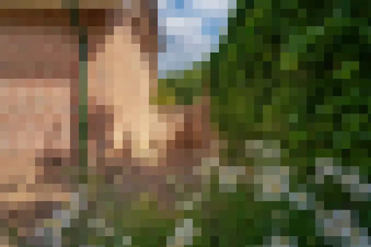 Ticheloven 88 Giesbeek thumbnail 36