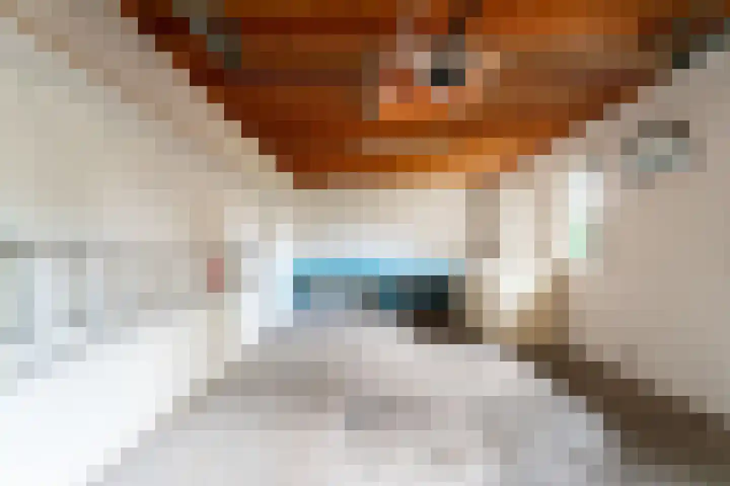 Ticheloven 88 Giesbeek thumbnail 37