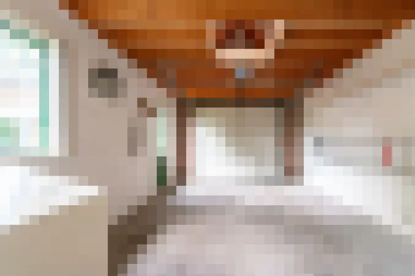 Ticheloven 88 Giesbeek thumbnail 38