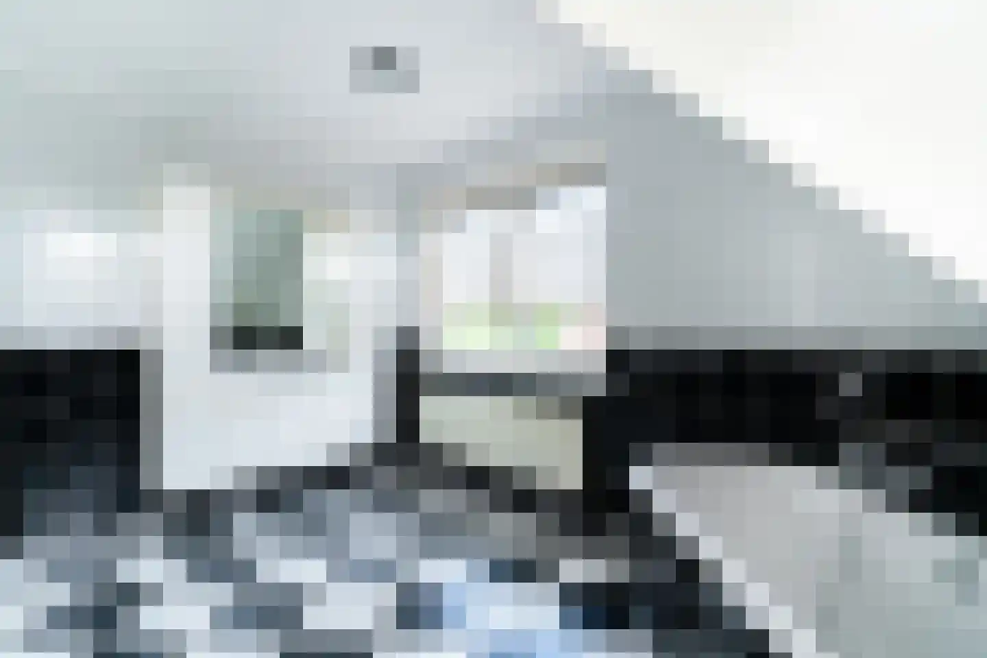 Ticheloven 88 Giesbeek thumbnail 4