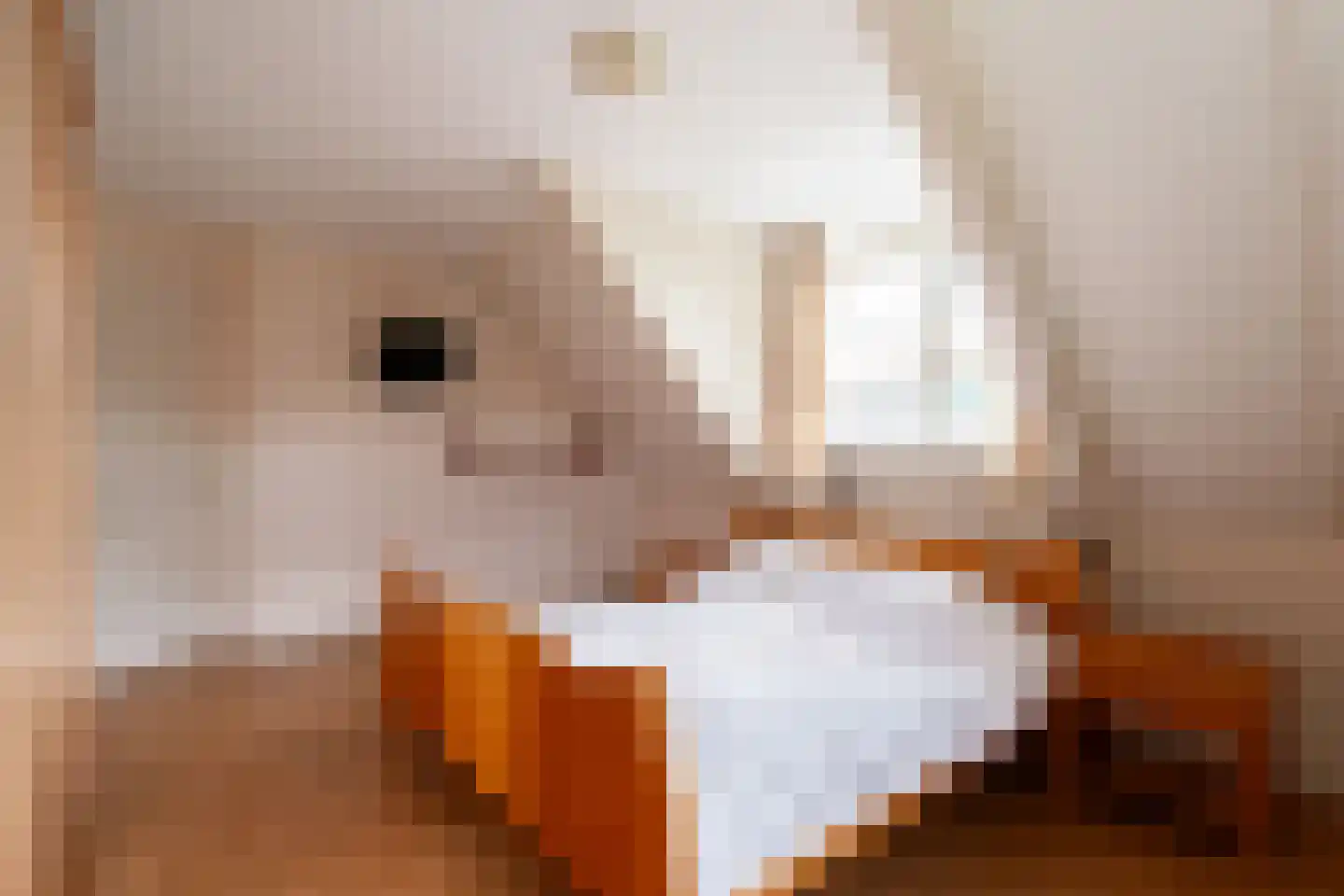 Ticheloven 88 Giesbeek thumbnail 40