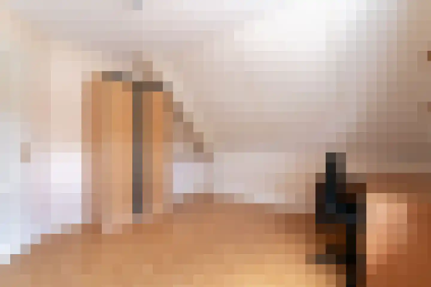 Ticheloven 88 Giesbeek thumbnail 44