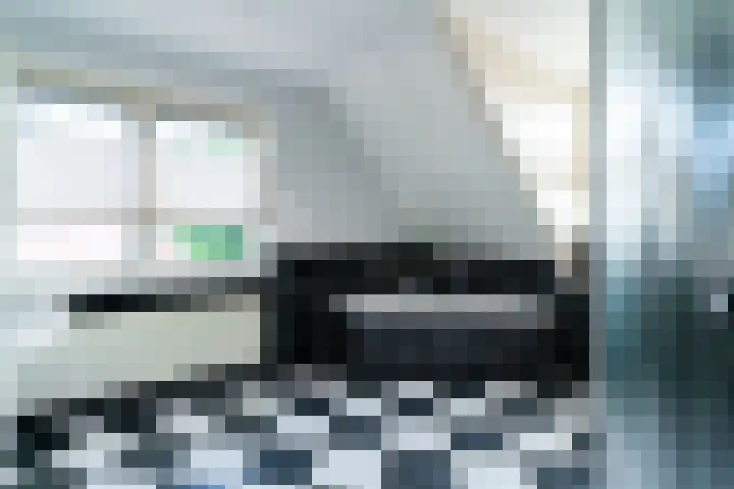 Ticheloven 88 Giesbeek thumbnail 48
