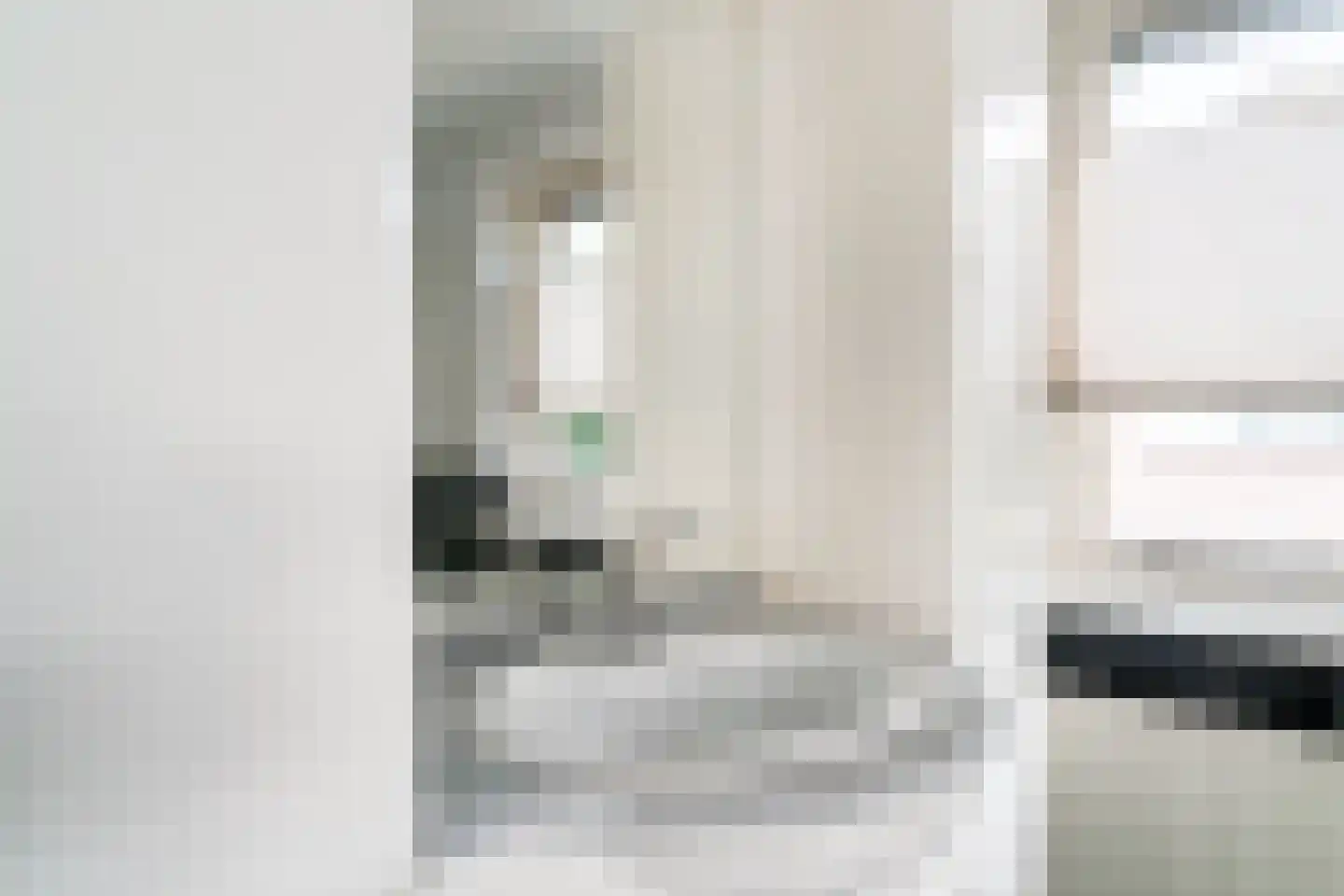 Ticheloven 88 Giesbeek thumbnail 49