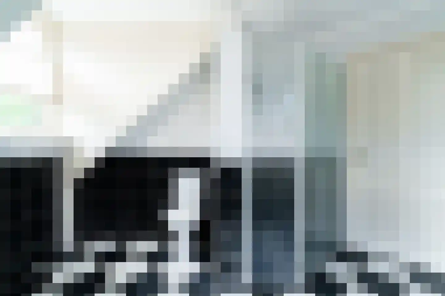 Ticheloven 88 Giesbeek thumbnail 51