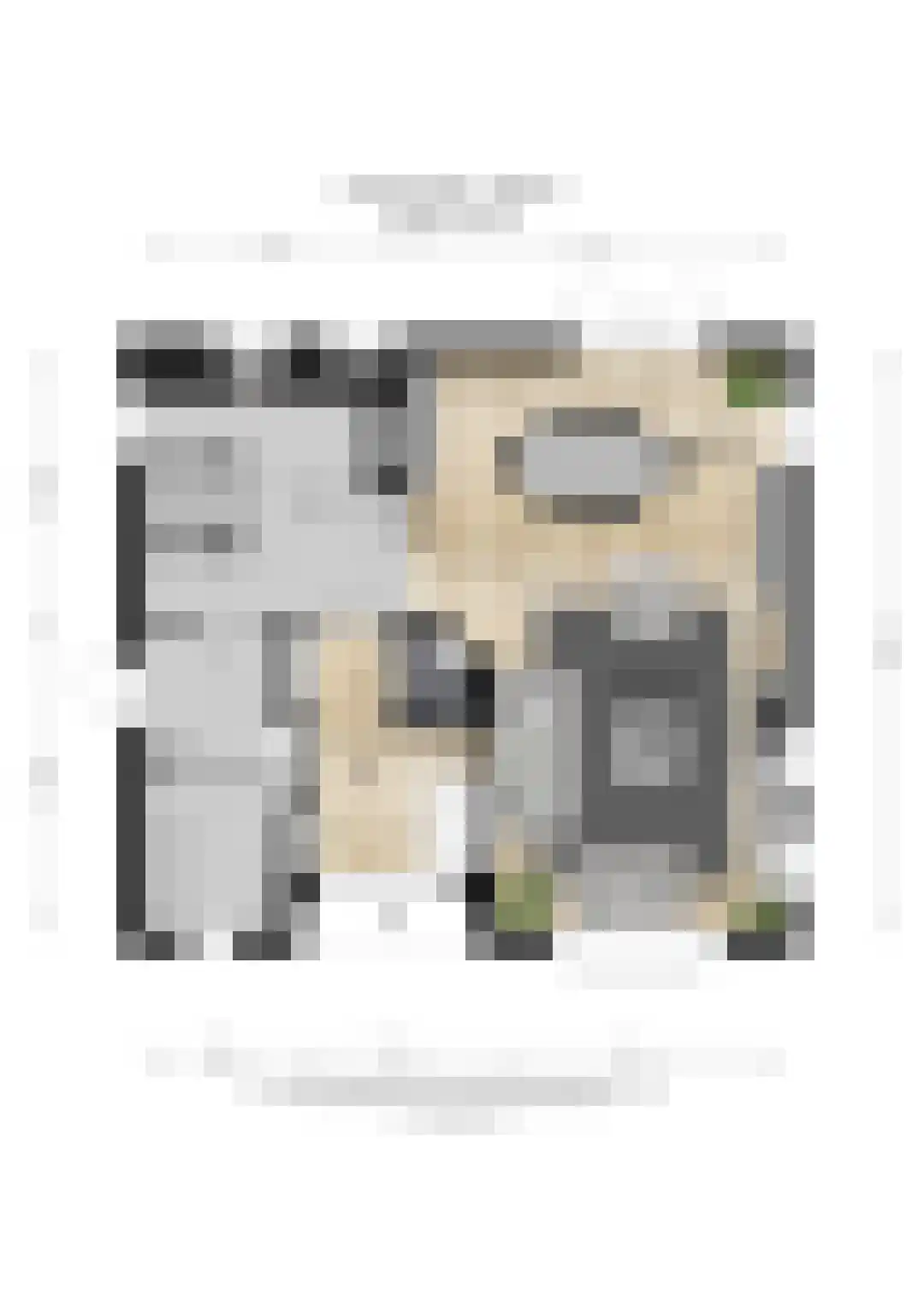 Ticheloven 88 Giesbeek thumbnail 56