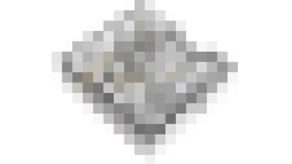 Ticheloven 88 Giesbeek thumbnail 57