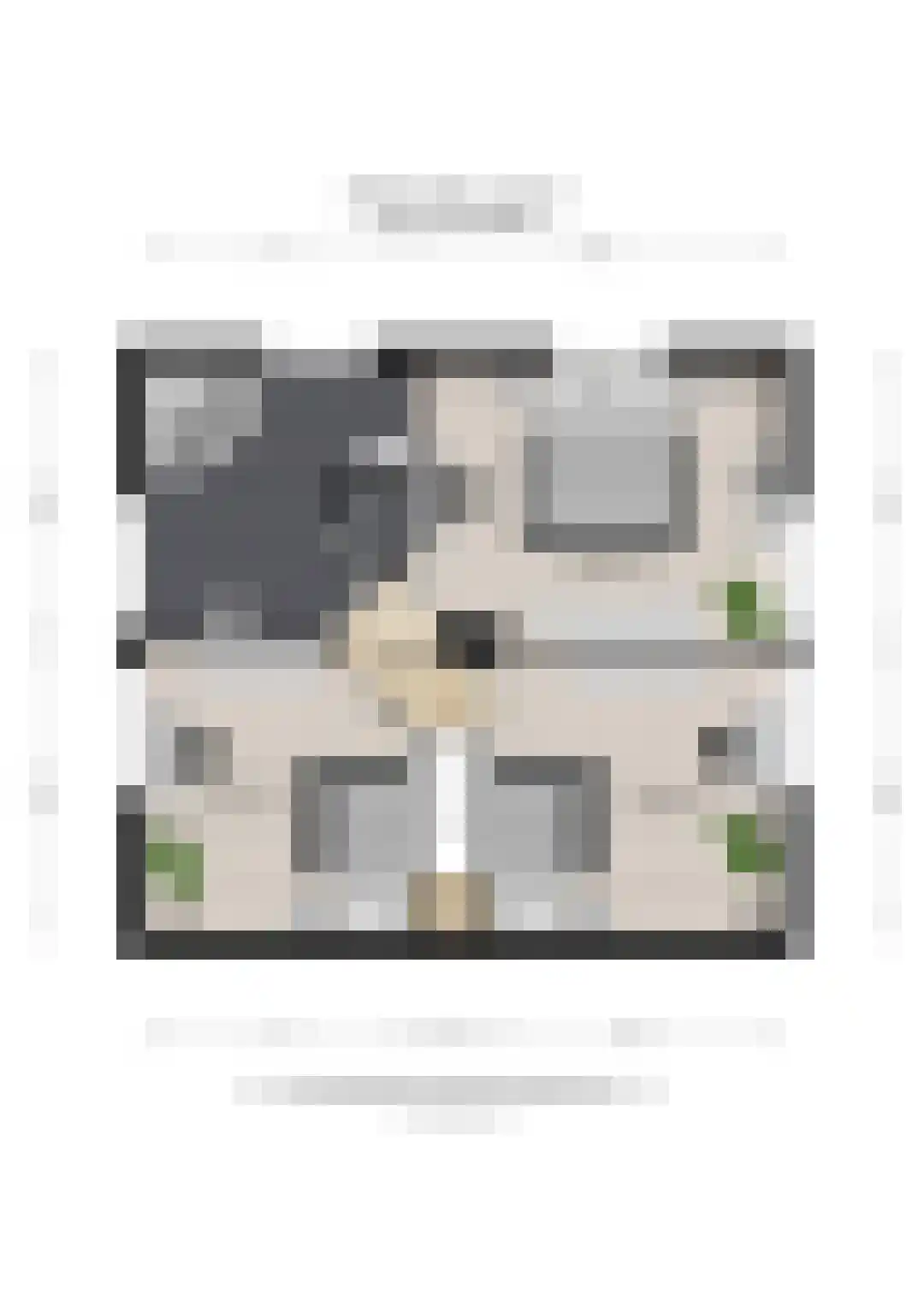 Ticheloven 88 Giesbeek thumbnail 58