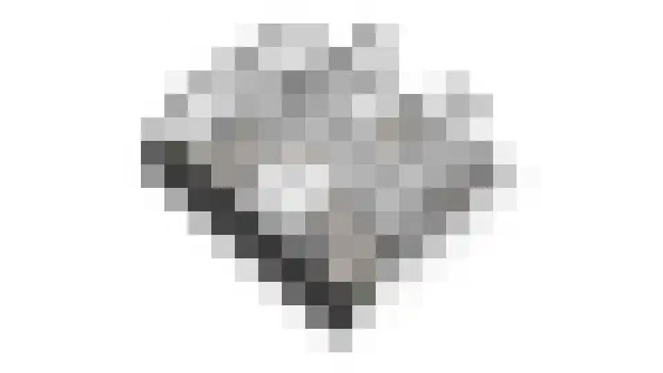 Ticheloven 88 Giesbeek thumbnail 59