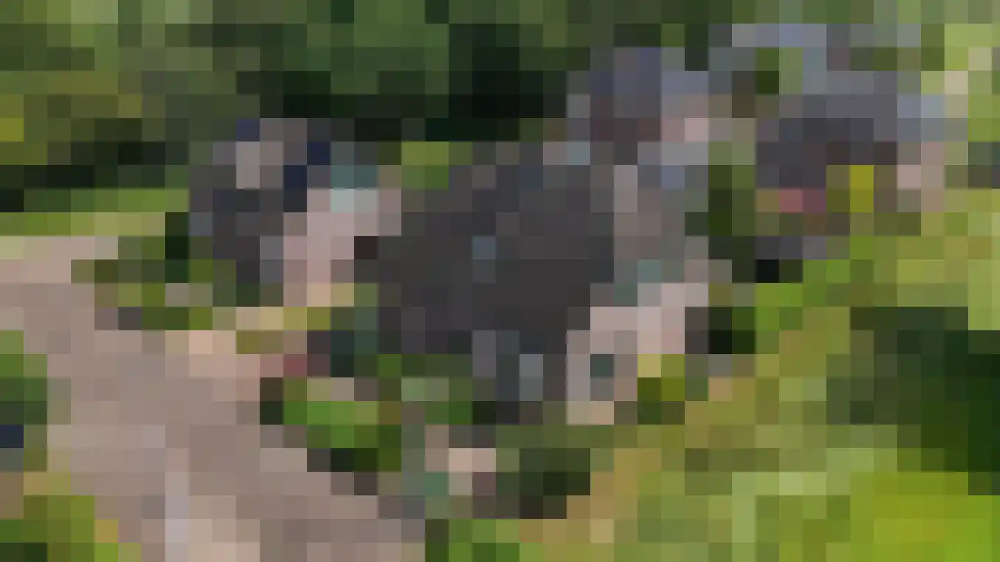 Ticheloven 88 Giesbeek thumbnail 6
