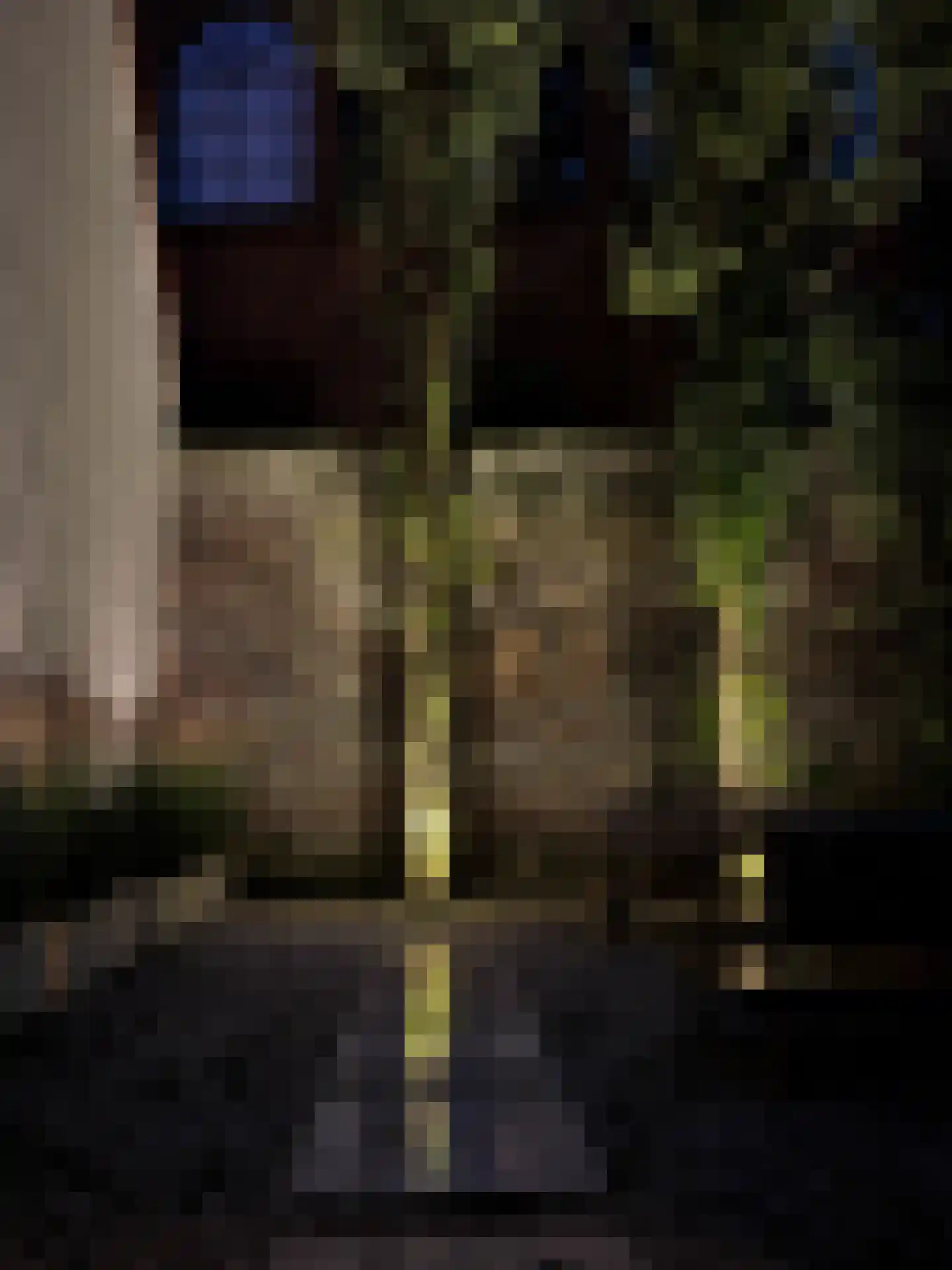 Tichelstraat 40 Amsterdam thumbnail 15