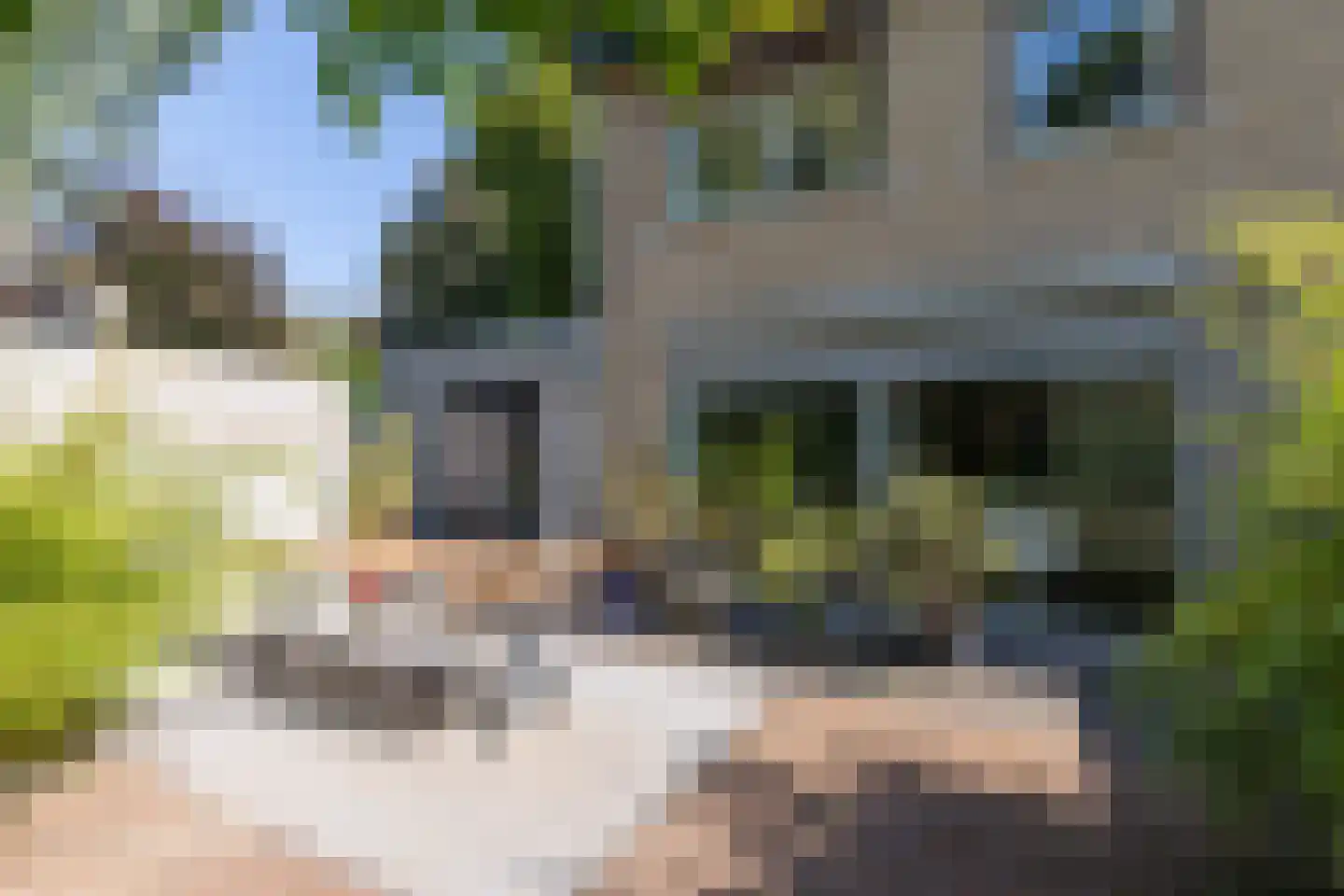 Tichelstraat 65 Kerkrade thumbnail 28