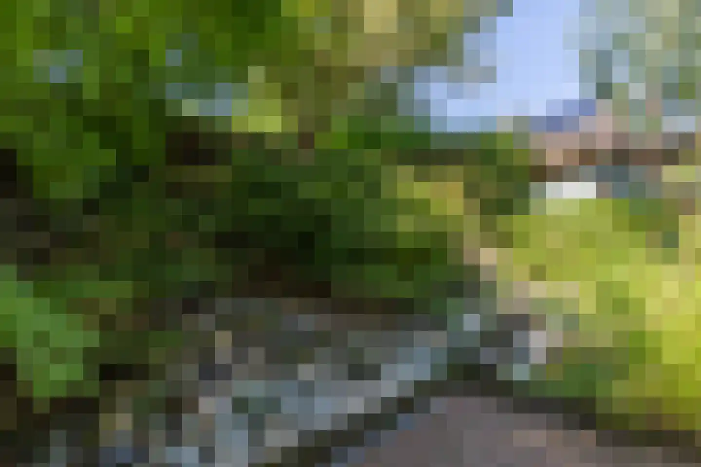 Tichelstraat 65 Kerkrade thumbnail 30