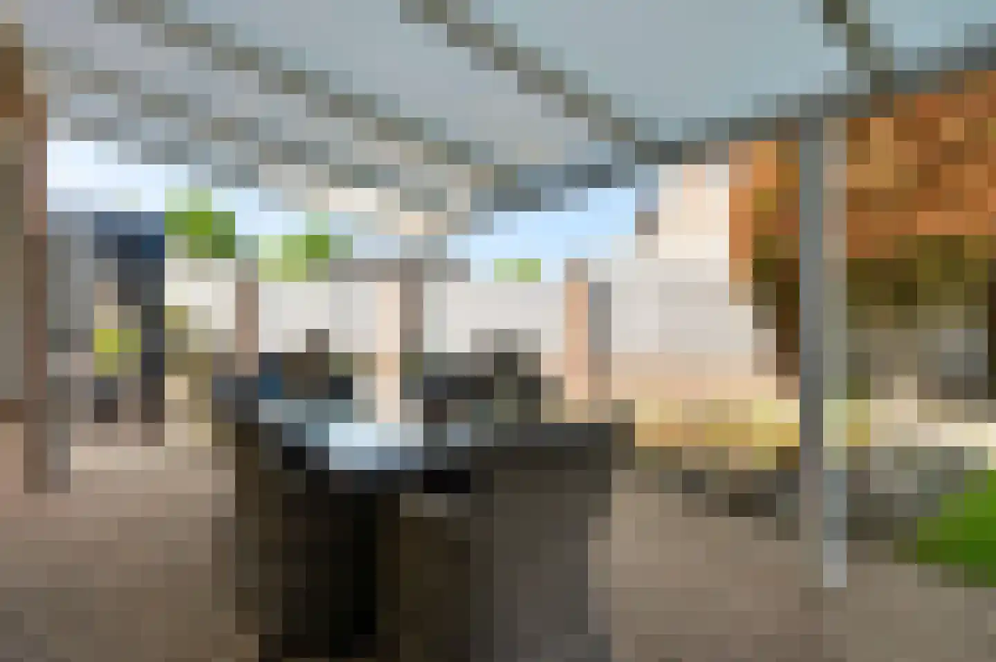 Tichelveld 52 Nederweert thumbnail 18